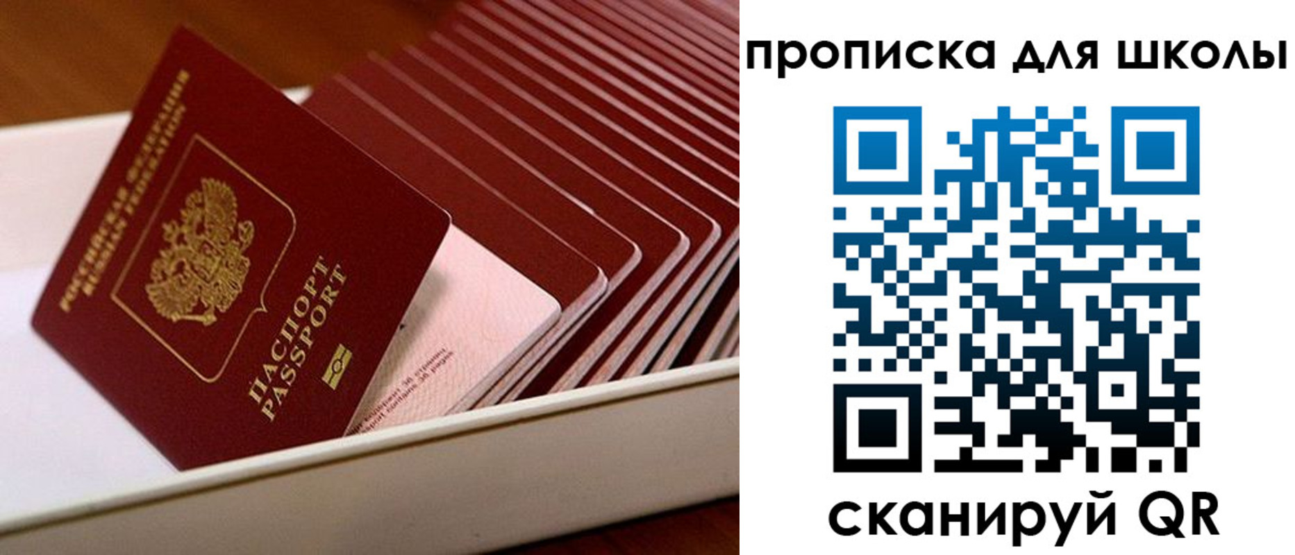 временная регистрация госуслуги в Челябинской области